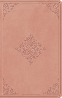 ESV Large Print Value Thinline Bible