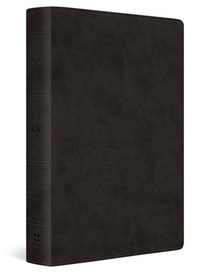 ESV Giant Print Value Thinline Bible (Trutone, Black)