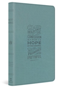 ESV Large Print Value Thinline Bible (Trutone, Paris Sky, Hebrews 10:23 Design)