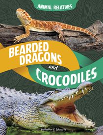 Bearded Dragons and Crocodiles: Reptile Relatives