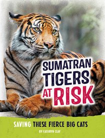Sumatran Tigers at Risk: Saving These Fierce Big Cats