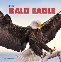 The Bald Eagle