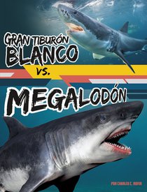 Gran Tiburón Blanco vs. Megalodón (Great White Shark vs. Megalodon)