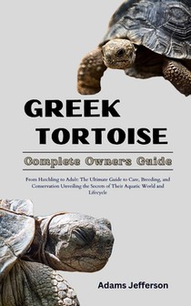 Greek Tortoise