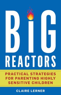Big Reactors: Practical Strategies for Parenting a Highly Sensitive Child