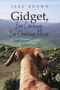 Gidget, I'm Coming, I'm Coming Home