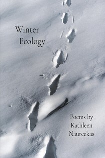 Winter Ecology