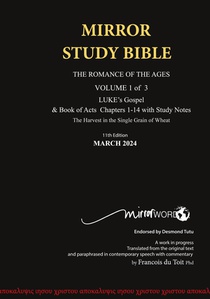 Hardback 11th Edition MIRROR STUDY BIBLE VOL 1 - Updated March 2024 LUKE's Gospel & Acts 1-14
