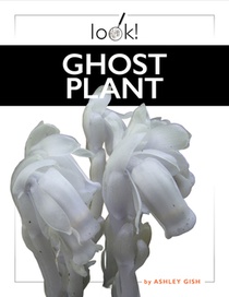 Ghost Plant
