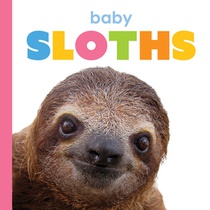 Baby Sloths