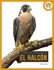 El Halcón: Spanish Edition