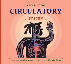 A Tour of the Circulatory System