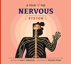 A Tour of the Nervous System