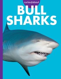 Curious about Bull Sharks
