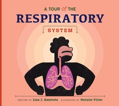 A Tour of the Respiratory System