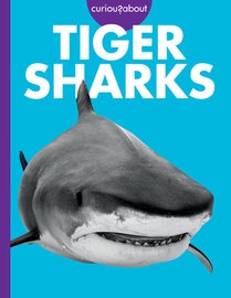 Curious about Tiger Sharks