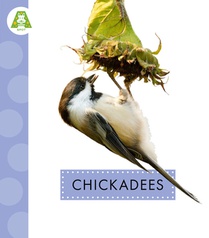 Chickadees