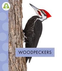 Woodpeckers