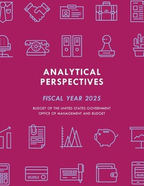 Analytical Perspectives