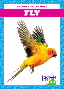 Fly