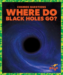 Where Do Black Holes Go?