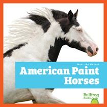 American Paint Horses
