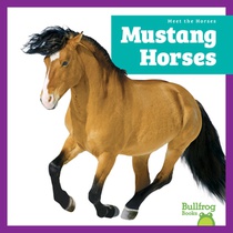 Mustang Horses