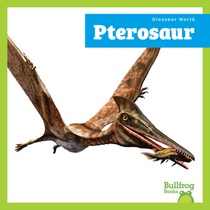 Pterosaur