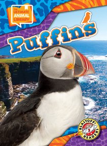 Puffins