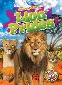 Lion Prides