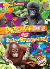 Baby Gorilla or Baby Orangutan?