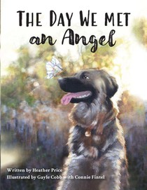 The Day We Met an Angel