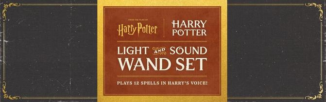 Harry Potter: Harry Potter Light and Sound Wand Set: Plays 12 Spells in Harry's Voice!