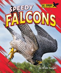 Speedy Falcons