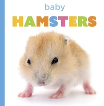 Baby Hamsters