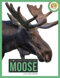 Moose