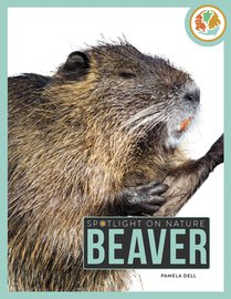 Beaver