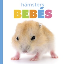 Hámsters Bebés