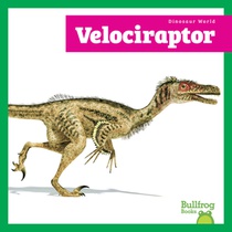 Velociraptor