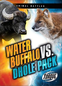 Water Buffalo vs. Dhole Pack