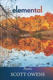 Owens, S: Elemental