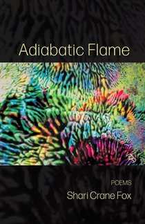 Adiabatic Flame