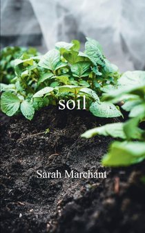 soil