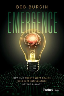 Emergence