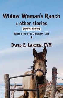 Widow Woman's Ranch & other stories