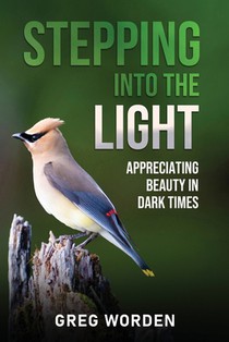 Stepping into the Light