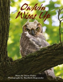 Owlvin Wises Up