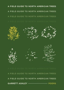 A Field Guide to North American Trees