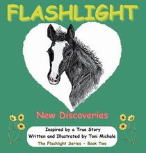 Flashlight - New Discoveries