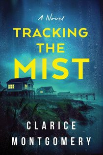Tracking the Mist